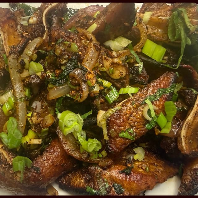 Sungur Ko Kaan.